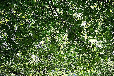 《创尸纪》DLC“努力赚钱吧！洁西”发售  Steam售价51元