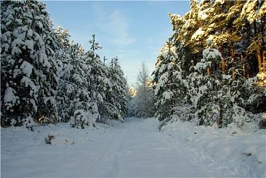 《血型说明书》12月15日登陆Switch 根据表象判断血型