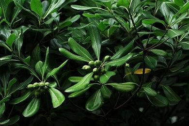 微软称改变Win11中任务栏位置这一功能并不重要